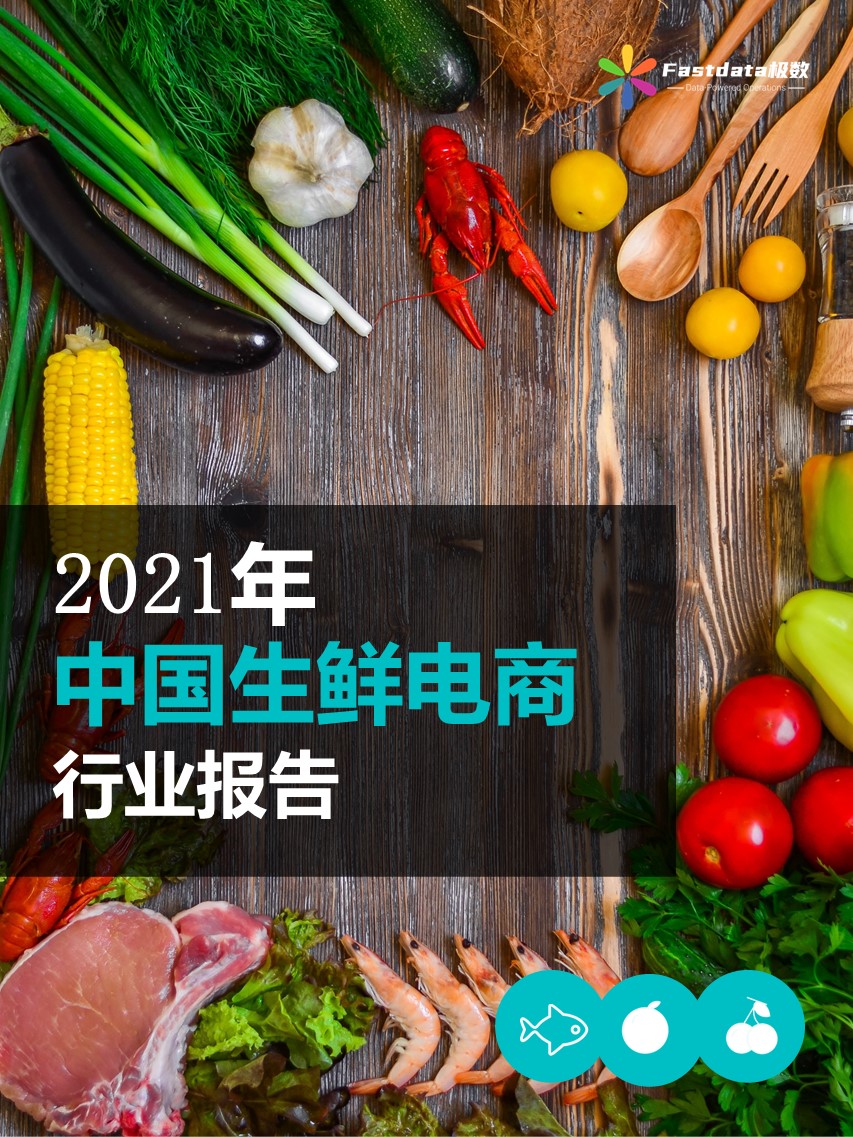 Fastdata极数：2021年中国少儿编程行业报告